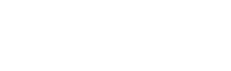 02_Pirkko_logo_valkoinen_rgb-crop-800x247.png